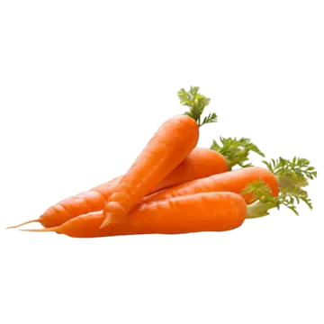 carrot